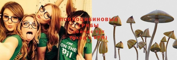 альфа пвп Елизово