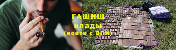 скорость Ельня