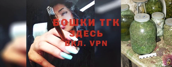 скорость Ельня