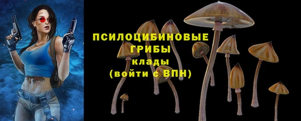 скорость Ельня