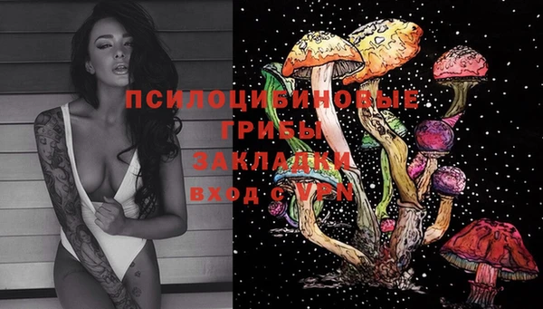 скорость Ельня
