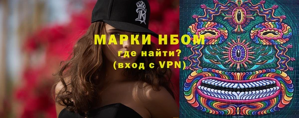 альфа пвп Елизово