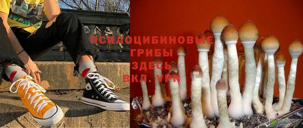 скорость Ельня