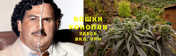 альфа пвп Елизово