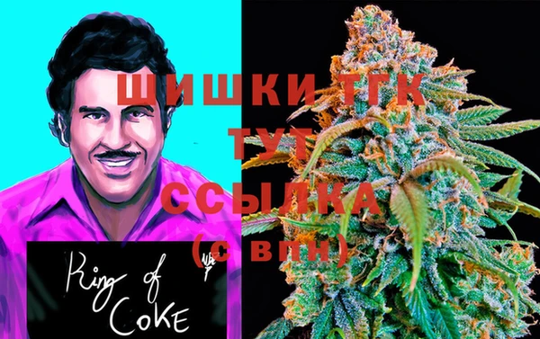 скорость Ельня
