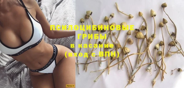 скорость Ельня