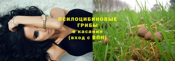 скорость Ельня