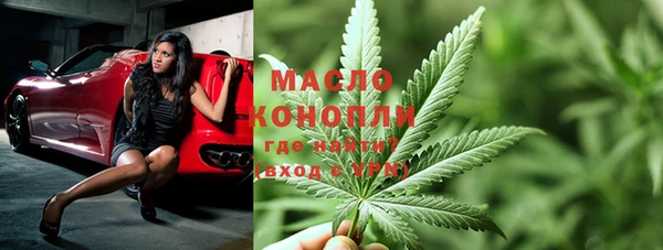 скорость Ельня
