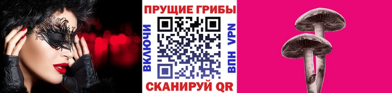 Купить  Сураж  Псилоцибиновые грибы ЛСД 