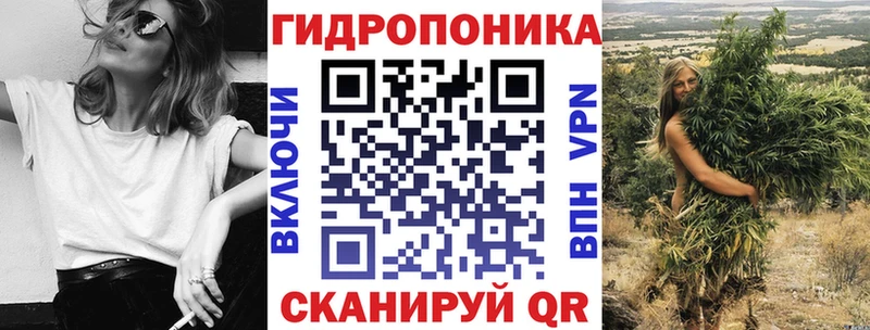 Каннабис планчик Сураж