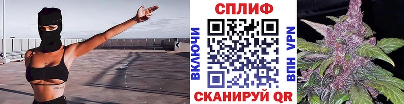Шишки марихуана OG Kush  Купить  Сураж 
